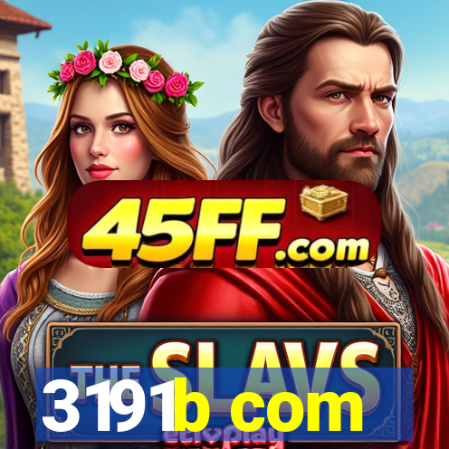 3191b com